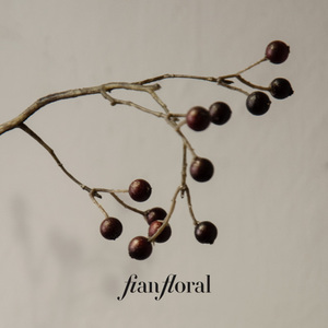 FONG IAN Atacado de Frutas Artificiais Feitas à Mão, Flores de Mirtilo Falsas para Decoração de Inverno, Natal, Dia das Mães e Festas - Product Image 4