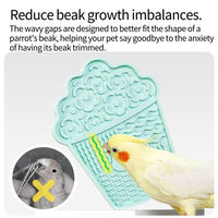 Tapis d'alimentation pour oiseaux sains, en silicone résistant à la mastication, pour une alimentation lente, surface antidérapante, portable pour réduire les gaspillage de nourriture