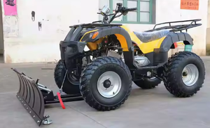 Hot Bán Mùa Đông Ổ Đĩa Bốn Bánh Xăng Snowplow Bãi Biển Xe Lấy Cảm hứng Đi xe-Trên Vườn Tuyết Quét Cho Thanh toán bù trừ Tuyết - Product Image 5