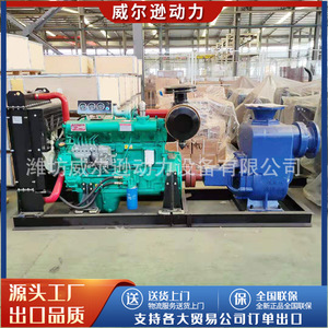 Groupe motopompe diesel Wilson 100 kW 1500 tr/min sur remorque mobile pour l'irrigation et le drainage agricoles - Product Image 2