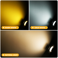 Projecteur PAR professionnel 80W Cob, projecteurs PAR blanc normal + blanc chaud, DMX512, barre de discothèque, scène, DJ, fête, projecteurs PAR en direct