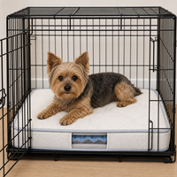 Tapis de repos rafraîchissant rembourré pour chien avec un design en forme de pétales, fond antidérapant en silicone et caractéristiques pratiques pour les voyages