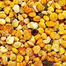 Pólen de Abeja Natural Mixto de Nueva Temporada a Precio Económico para la Alimentación de Abejas - Product Image 5