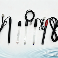 Test de pH personnalisable Capteurs de qualité de l'eau Ph/ORP Sonde d'électrode en plastique pour l'eau de piscine ODM et OEM pris en charge