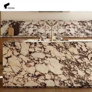 Tostone tự nhiên độc quyền ý gốc calacatta Viola đá cẩm thạch cho biệt thự thanh lịch bàn tường vanitytop nhà biệt thự trang trí nội thất - Product Image 5