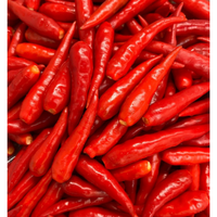 Piments frais, légumes crus, aliments et boissons de l'équipe professionnelle, excellent service après-vente agricole, vietnamien, 30 kg/paquet
