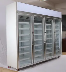 Congelatore verticale commerciale delle porte di vetro 1/2/3/4/refrigeratore del congelatore dell'esposizione del supermercato del minimarket