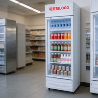 Réfrigérateur vertical commercial à porte vitrée, température unique, refroidissement par air, affichage LED, sans givre, pour boissons et bières, avec serrure de porte