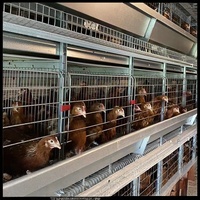 Poulailler en acier galvanisé avec toit pour poules pondeuses, contrôle précis de la température, garantie 1 an