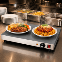 Plateau chauffant électrique pour aliments, portable, pour fêtes, avec contrôle de la température
