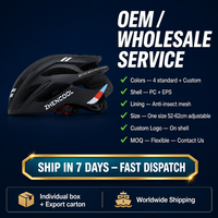 Casque de vélo en gros avec doublure en maille anti-insectes PC EPS pour le cyclisme