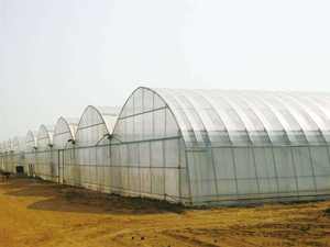 Low Cost Green House Acessórios Conjunto inteiro Portas deslizantes Painéis De Policarbonato Agricultura Estufas - Product Image 5