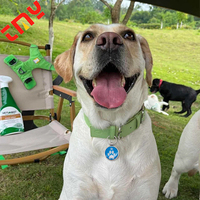 Étiquette de chien NFC de nom d'identification de chat d'animal familier de code QR en métal rond sans fil portable sans fil avec une puce à l'intérieur