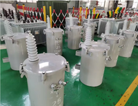 Transformador Monofásico Sumergido en Aceite Serie D11 de 25KVA, Transformador de Distribución de Alta Tensión para Montaje en Poste, de Fábrica