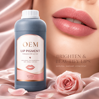 Pigment de maquillage permanent OEM, extrait végétalien pour salon professionnel, encre de microblading, pigment de tatouage pour sourcils