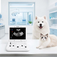 Système de diagnostic échographique Doppler couleur vétérinaire JL-VPD3, scanner de classe II pour chiens et chats