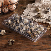 Barquette en plastique PET transparente à 20, 24 ou 30 alvéoles pour œufs de caille, emballage jetable pour œufs de poule et de caille avec couvercle