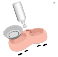 Gamelle double écologique pour chiens avec mangeoire lente amovible en acier inoxydable, base antidérapante, motif uni, étanche IPX5