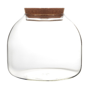 Vase en verre borosilicate transparent <span class=keywords><strong>de</strong></span> 1600 ml, terrarium hydroponique avec lumière LED colorée, <span class=keywords><strong>bouchon</strong></span> en liège pour plantes - Product Image 1