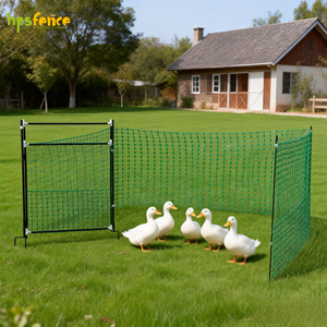 HPS Puerta <span class=keywords><strong>de</strong></span> Malla Portátil <span class=keywords><strong>de</strong></span> Alta Resistencia para Aves <span class=keywords><strong>de</strong></span> Corral, con Postes <span class=keywords><strong>de</strong></span> Plástico, Malla <span class=keywords><strong>de</strong></span> Seguridad para Cercas <span class=keywords><strong>de</strong></span> Jardín, Patos, Gansos y Granjas, 105 CM - Product Image 1