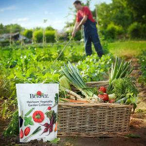 Kit di Semi di Ortaggi Burpee Heirloom, Oltre 35 Varietà Non-OGM per Giardino, Include Lattuga, Fagioli, Zucca per Vasi e Fioriere - Product Image 4