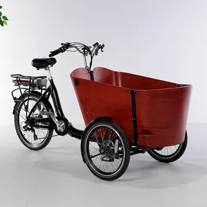 네덜란드 전기 성인 세발 자전거 3 바퀴 화물 자전거 Trike 가정용 자전거 여객 캐리지 디스크 브레이크