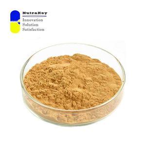 Polvo de extracto de garra de gato Premium 2.0% alcaloides | Soporte natural antiinflamatorio e inmunológico | Extracto de <span class=keywords><strong>Uncaria</strong></span> <span class=keywords><strong>Tomentosa</strong></span> - Product Image 1