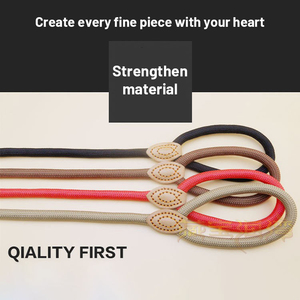 Hot Selling <b>Nylon</b> Dog Leash <b>Slip</b> Lead Snap Hook Rope Leash Pet Supplier Dog Leash for Training Hiking - Product Image 2