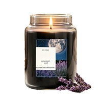Bougie d'aromathérapie personnalisée 625g, grand pot en verre, cire de soja à base végétale, bougie parfumée, longue durée de combustion, décoration relaxante pour la maison