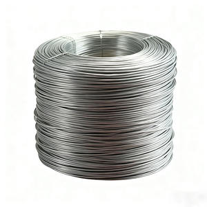 سبيكة كروم-نيكل-حديد Cr20Ni30 عالية المقاومة للأكسدة وغير مغناطيسية بنقاء 99.5٪ للتسخين الكهربائي - Product Image 4