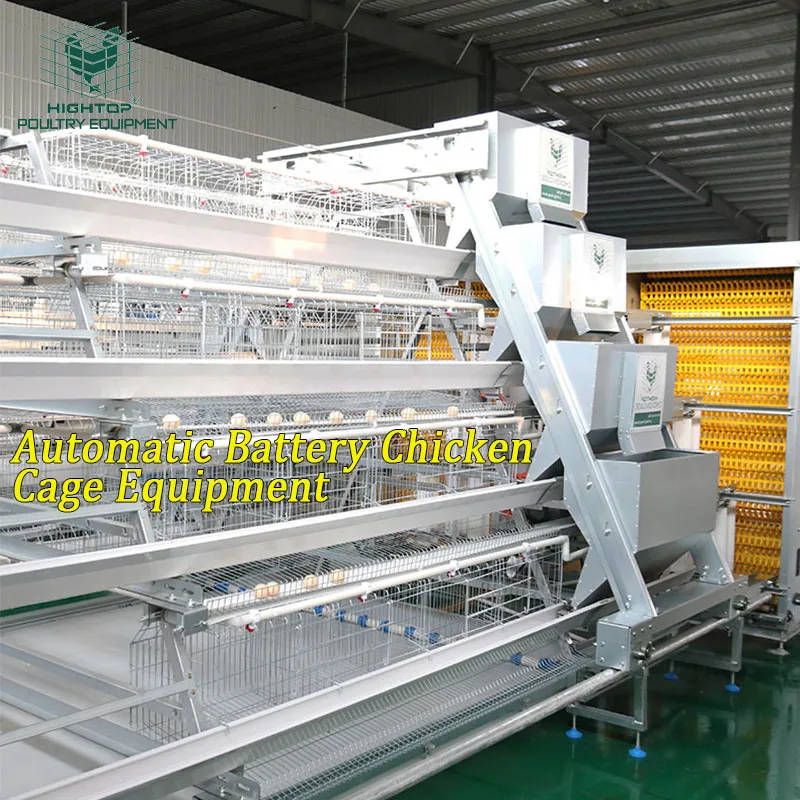 Build Rwanda Poultry Farm 4 Tier Automatic Egg Layer Cage For Chicken Layer