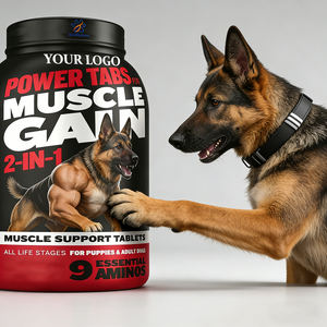 OEM/ODM כלבים מכל הגזעים, סוכריות לעלייה במסת שריר, תוסף תזונה לעלייה במשקל לכלבים עם חלבון וחומצות אמינו גבוהות לבניית שרירים - Product Image 4