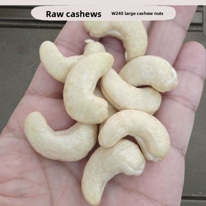 Núcleos de Anacardo Crudos Premium 100% Naturales Sin Tostar Sin Sal 1kg Grado A Venta al por Mayor Directa de Fábrica OEM Personalizable Anhui Fuli Hall - Product Image 2