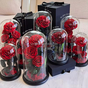 Regalo del Día de la madre de San Valentín 2025, flores <span class=keywords><strong>rosas</strong></span> para siempre, <span class=keywords><strong>rosas</strong></span> naturales hechas a mano eternas preservadas en cúpula de cristal para mujeres <span class=keywords><strong>y</strong></span> niñas - Product Image 1