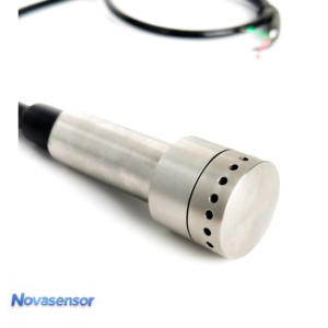 SDI-12 10m Edelstahl Wasser & Flüssigkeit <span class=keywords><strong>Tank</strong></span> Füllstand Überwachung Sensor Transmitter Konkurrenz fähiger Preis - Product Image 2