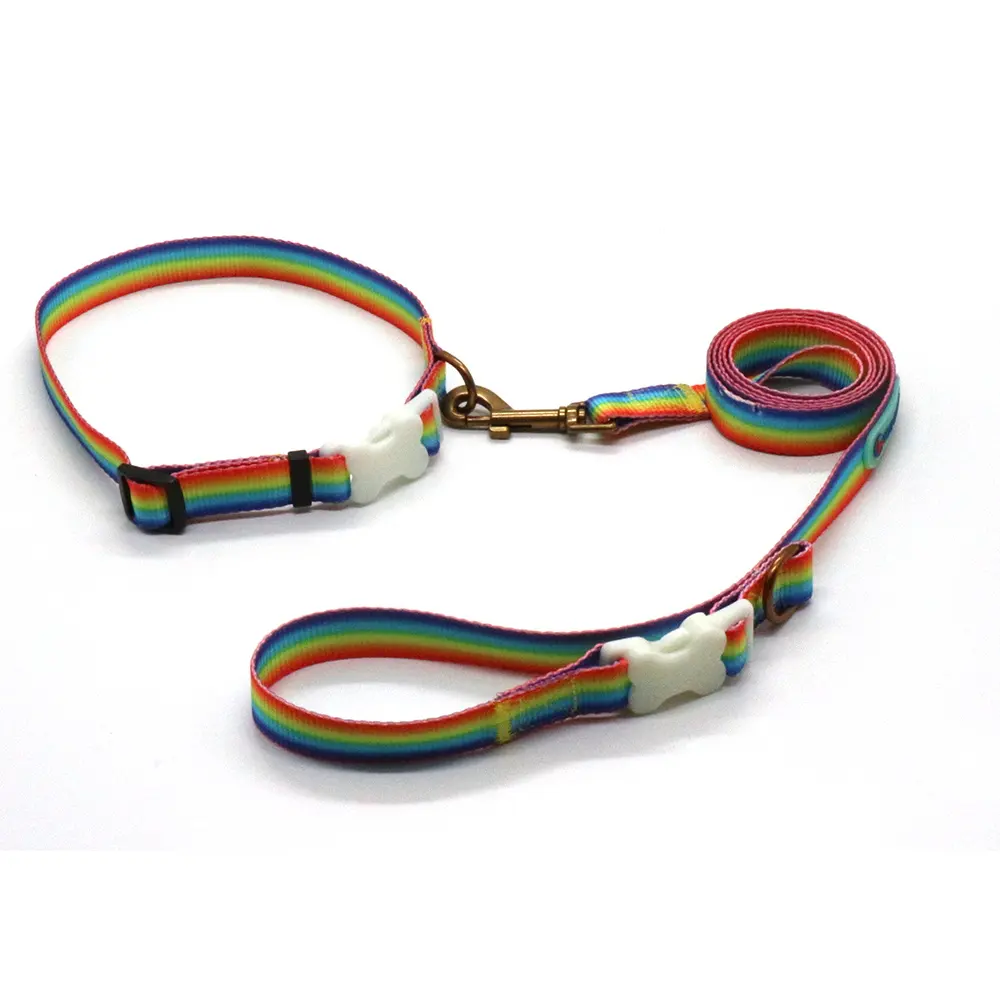 RTS Rainbow Color poliestere pettorina per animali collare per cani guinzaglio per cani e prodotti in piombo da Pet Supply M