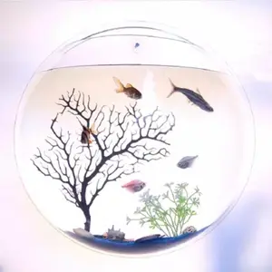 아크릴 볼 어항 수족관 벽걸이형 어항 - Product Image 4