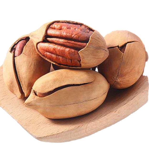 Premium New Baked Salted Roasted Dried Creamy Pecan Nuts in Shell