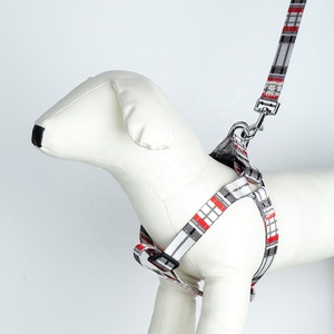 Productos populares para mascotas, collares de entrenamiento, correa para amigos, arnés para perros, conjunto de Collar, correa de nailon, conjunto de arnés para perros - Product Image 1