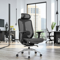 Chaise de bureau ergonomique moderne en maille avec appui-tête réglable, support lombaire, accoudoirs, vérin à gaz certifié classe 3, alliage d'aluminium, garantie 3 ans