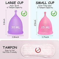 Stérilisateur à vapeur pour coupe et disque menstruels réutilisables ZDXT, élimine 99,9 % des germes, boîte cadeau rose