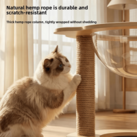 Arbre à chat moderne en acrylique avec lit intégré – Conception autoportante, simple et peu encombrante, résistant aux griffures