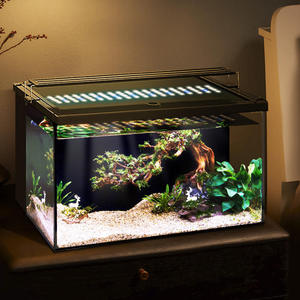 Small <strong>Rectangular</strong> Ultra-clear Glass <strong>Aquarium</strong> Fish tank Mini Back Filtration LED Light Energy-saving Black Landscape Box <strong>Acrylic</strong> - Product Image 5
