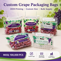 Sac à soufflet durable en PET/CPP de qualité alimentaire avec trou de poignée, emballage composite pour fruits (raisins)
