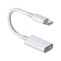 Venta al por Mayor Transfronteriza de Cable Adaptador de 17 a USB-C para Teléfono Móvil con Carga Rápida PD