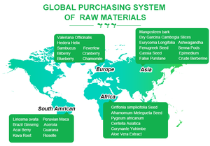 工場供給ルイウォ純天然食品グレードムクナ・プルリエンス抽出物粉末/ベンガルベルベット豆/カウヘイジ/カウイッチ抽出物 - Product Image 6