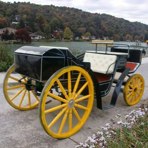 Carrozza Elettrica Nera di Lusso a 4 Ruote per Trasporto Matrimoniale - Qualità Reale per Natale - Product Image 3