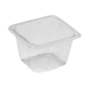 Aangepaste Fruitsalade Verpakking Voedsel Containers Wegwerp Huisdier Plastic Pakket Transparante Display Doos