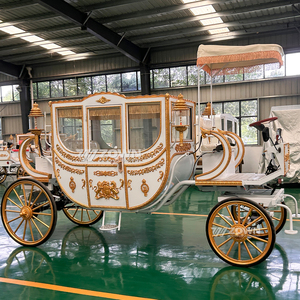 Carruajes Reales Blancos a Precio de Fábrica, Carruaje Eléctrico sin Caballos de Cenicienta, Carruaje Turístico de Princesa - Product Image 2