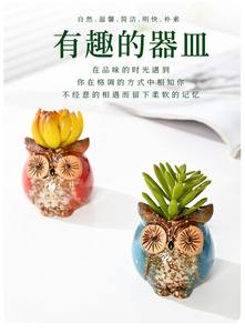 Hibou Pot De Fleur <span class=keywords><strong>Japonais</strong></span> Coréen Animal Pot Mini Pot De Fleur En Céramique Hibou Ensemble (Plante Non Inclus) - Product Image 3